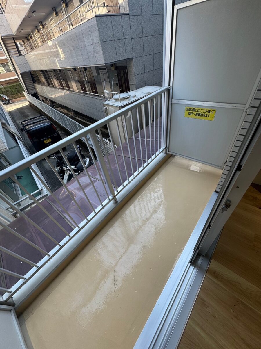 セシーズイシイ8 206