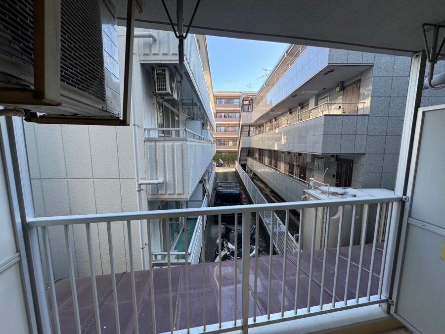 セシーズイシイ8 206