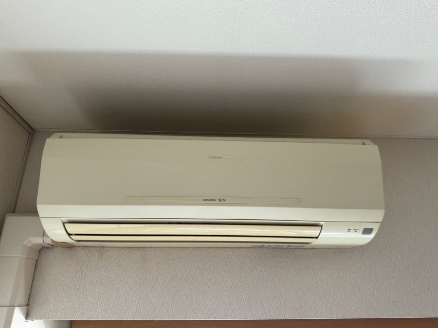 セシーズイシイ20 101