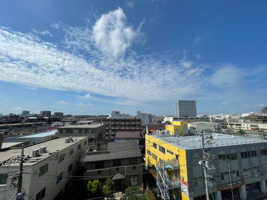 セシーズイシイ１６ 602