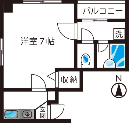セシーズイシイ１０ 501