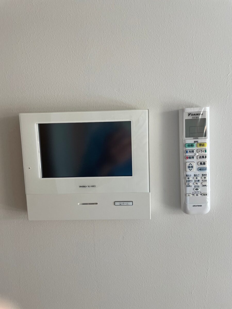 セシーズイシイ２３ C305