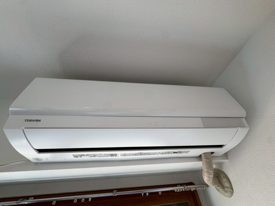 セシーズイシイ１０ 501