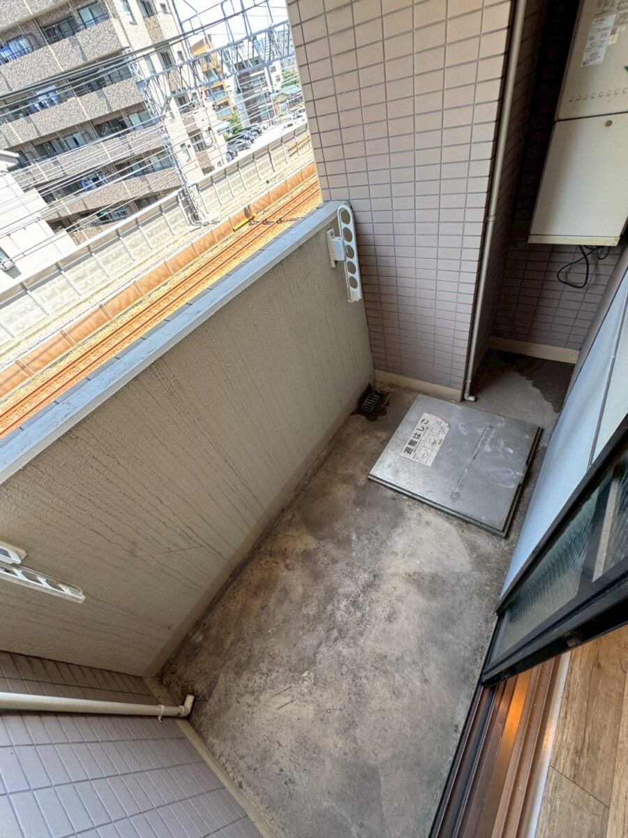 セシーズイシイ１０ 501