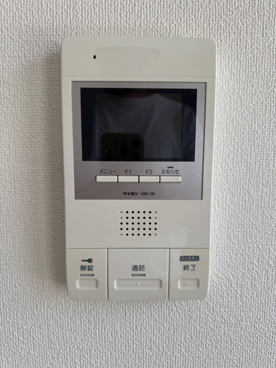 セシーズイシイ１０ 501