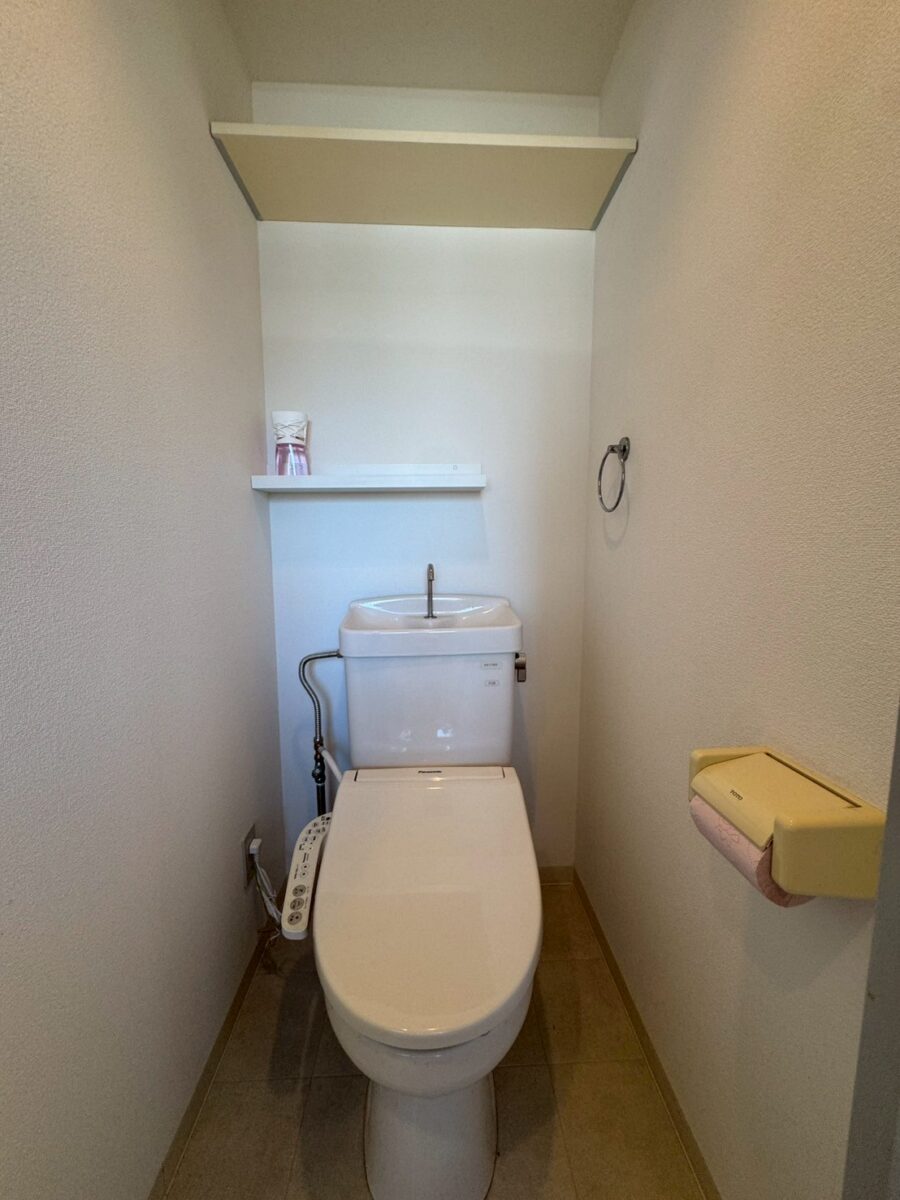 セシーズイシイ１０ 501