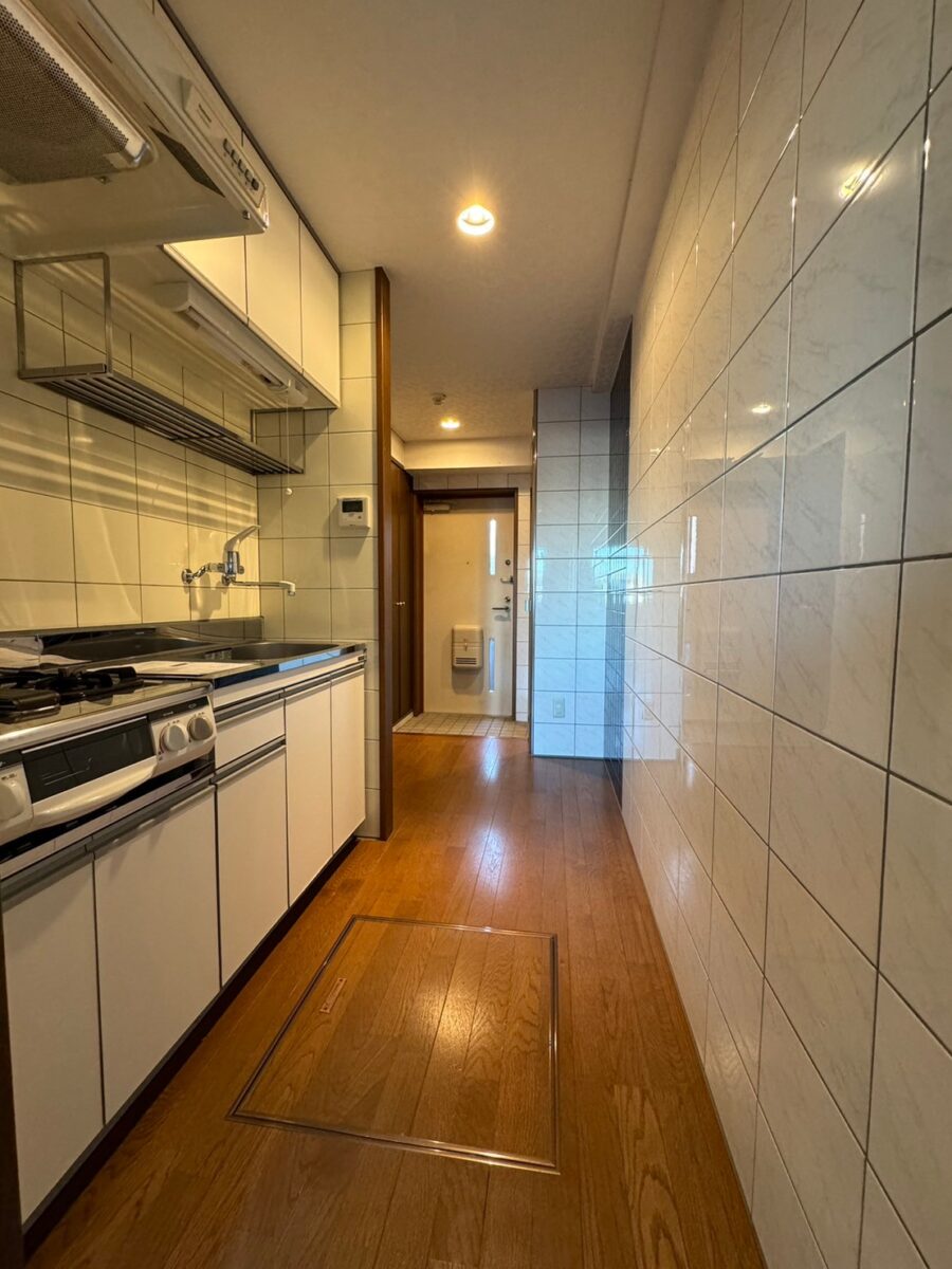 セシーズイシイ18 303