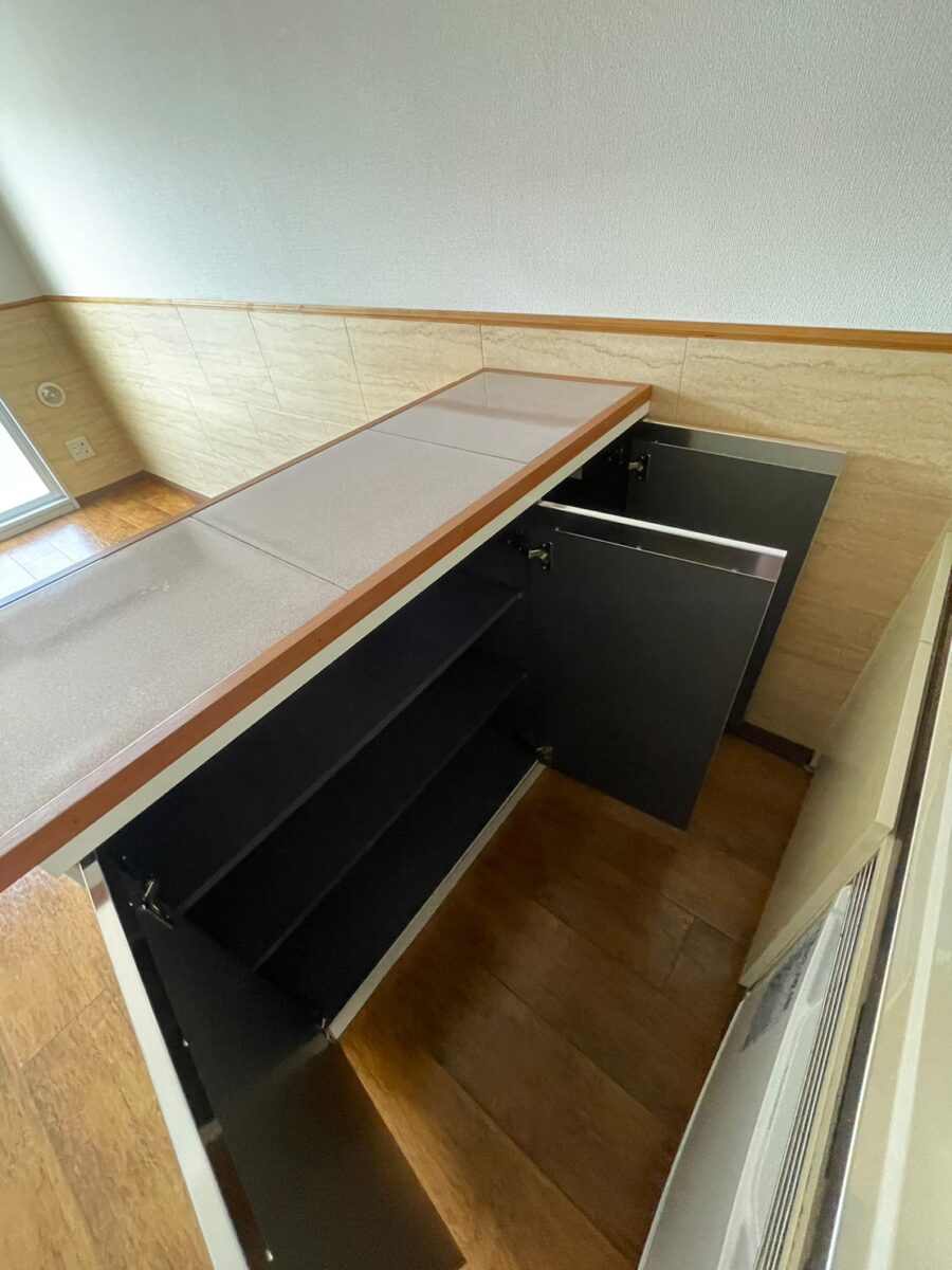 セシーズイシイ8 309