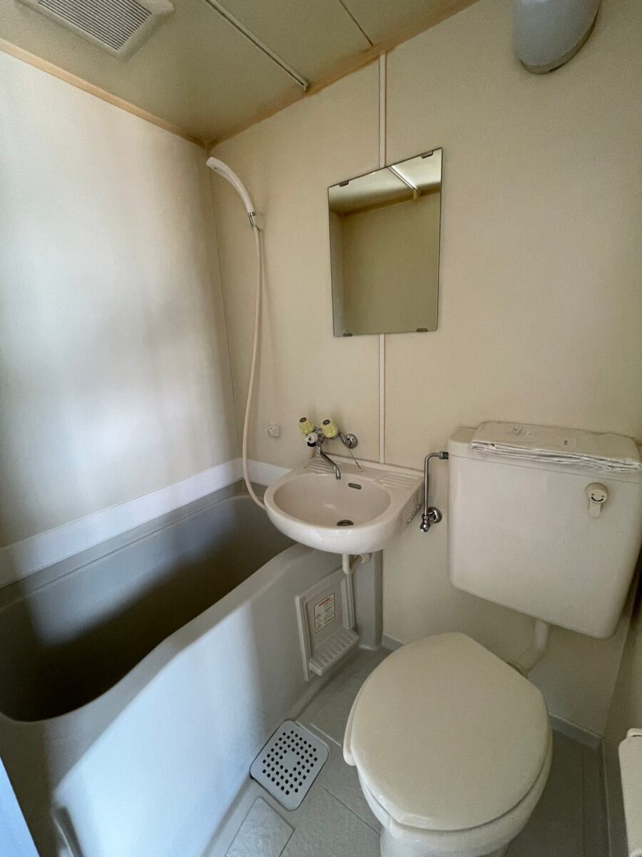 セシーズイシイ8 309