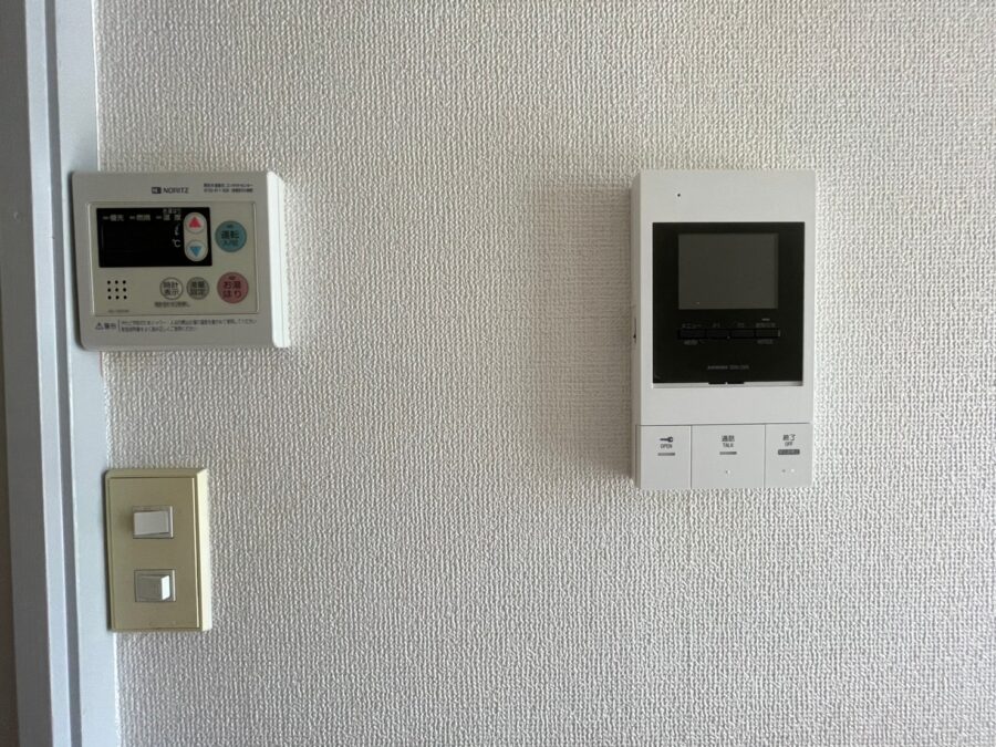 セシーズイシイ8 309