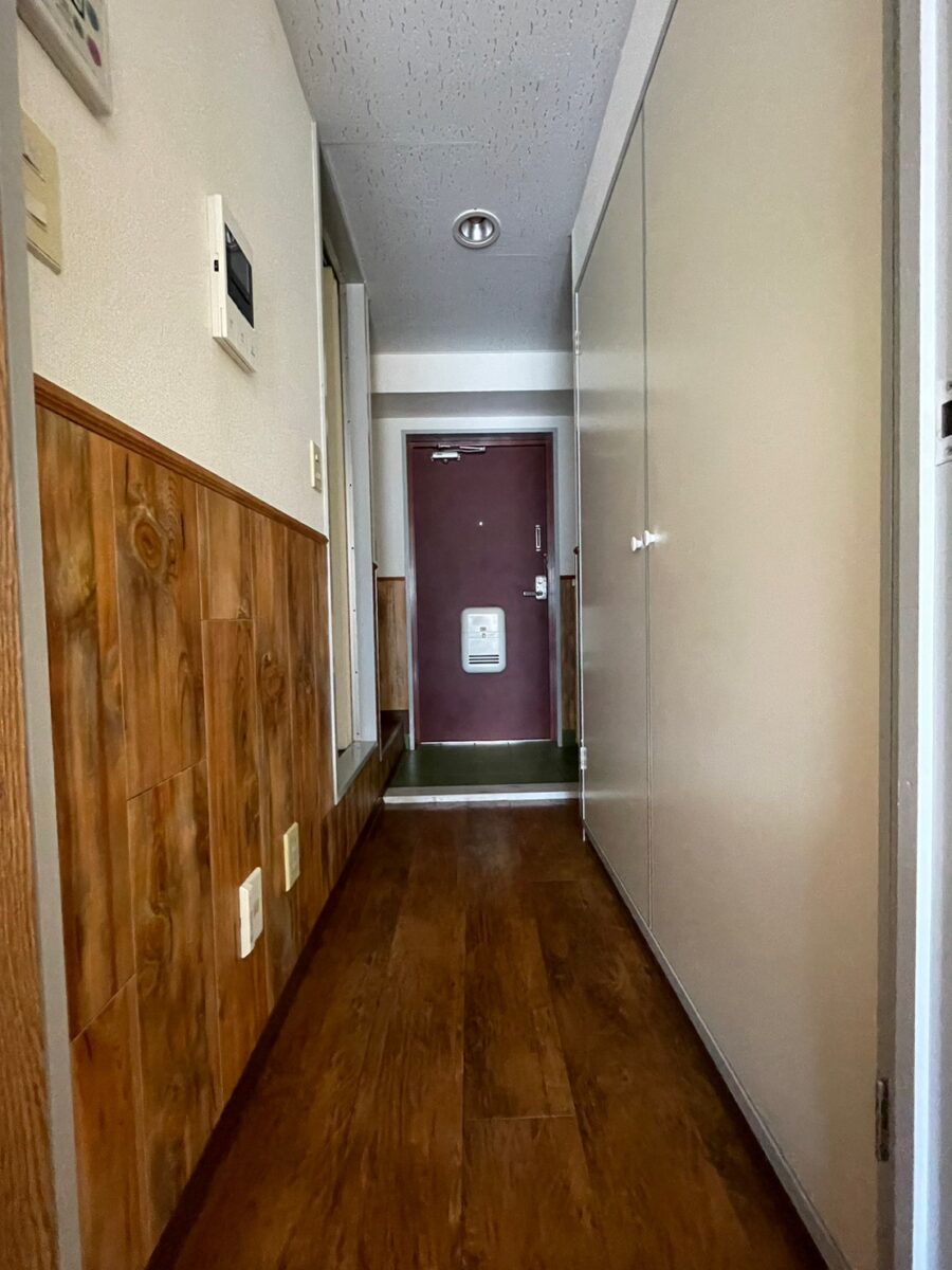 セシーズイシイ8 309