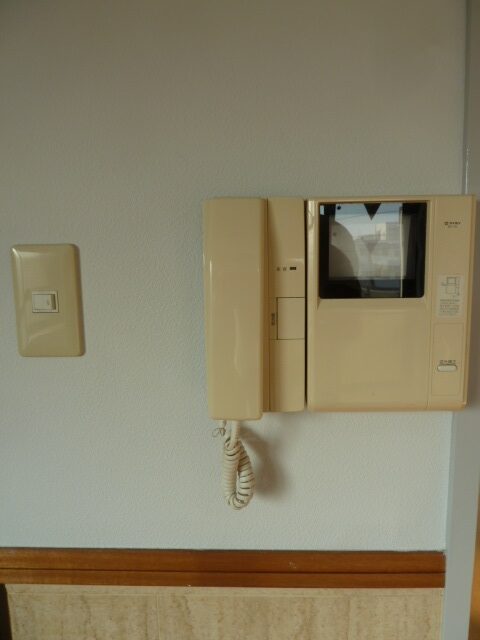 セシーズイシイ１７ 305