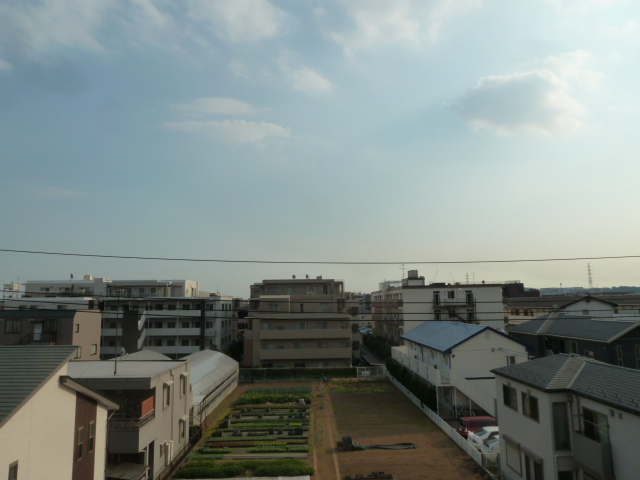 セシーズイシイ１７ 305