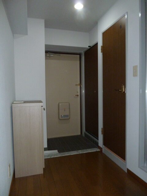 セシーズイシイ１７ 305