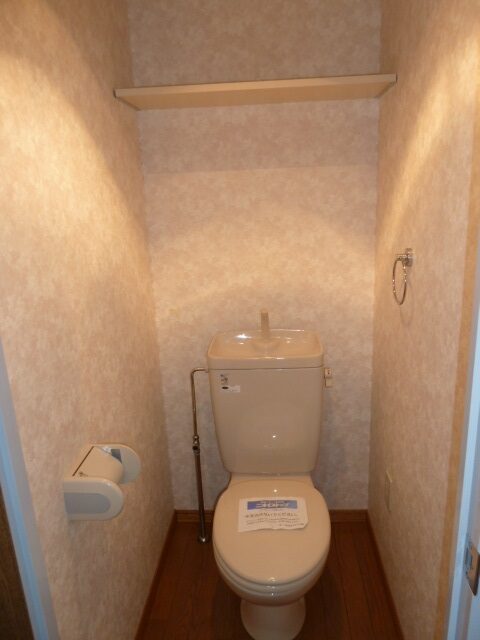 セシーズイシイ１７ 305