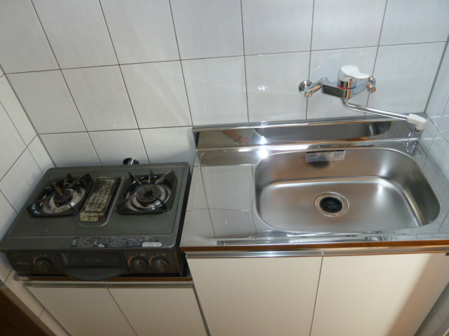 セシーズイシイ１７ 305